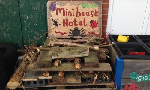 Crossdale Drive School - Minibeast hotel