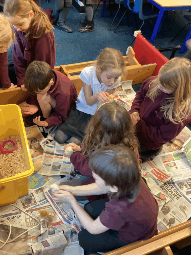 The Chicks Have Hatched!