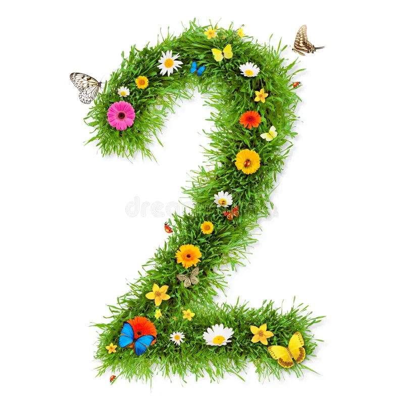 Spring 2 - Curriculum Map