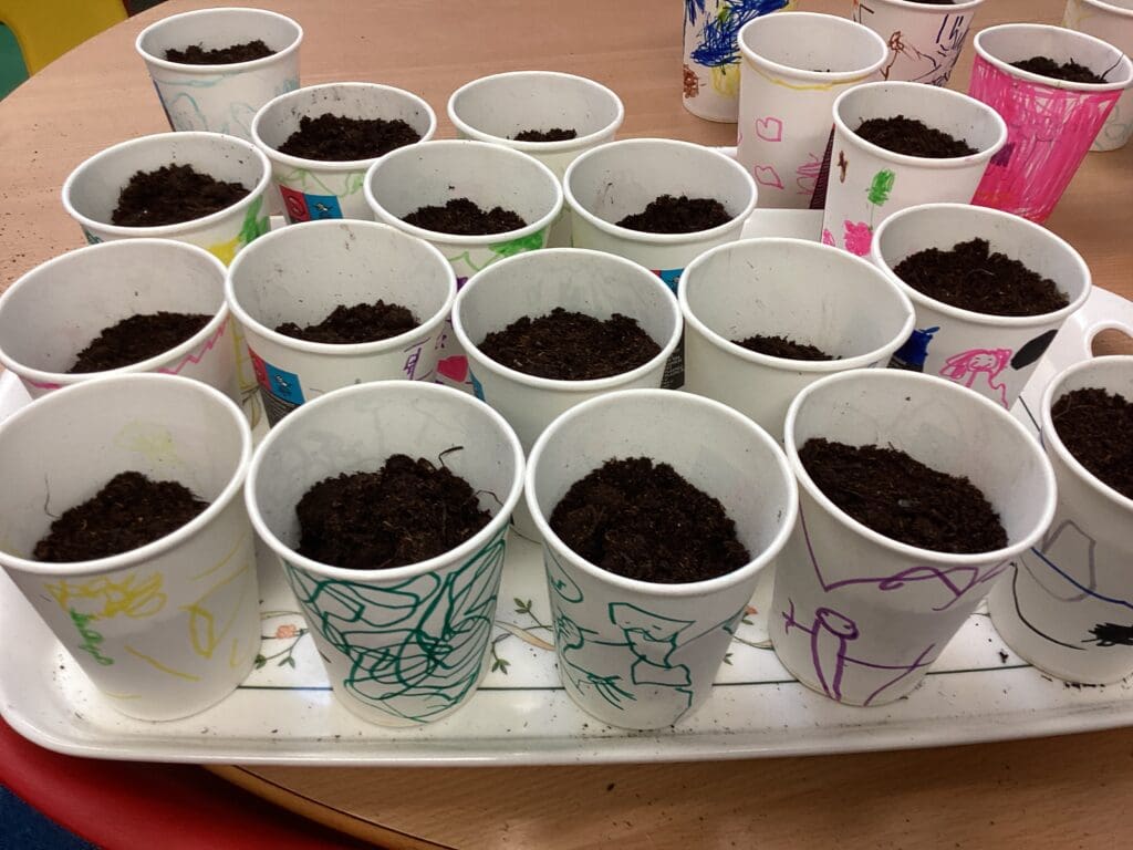 What we've been learning - Week beginning 09/03/26