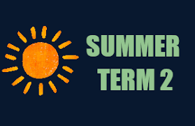 Summer 2 - curriculum map