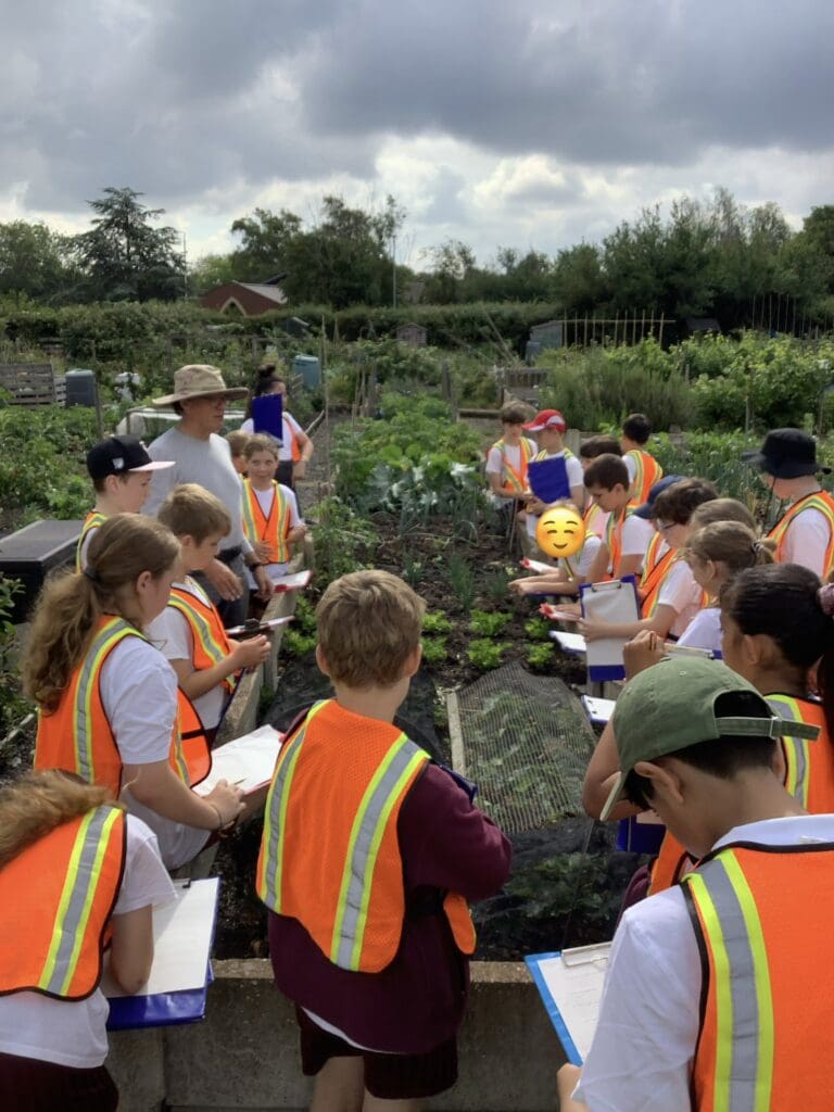Our trip to the allotments!
